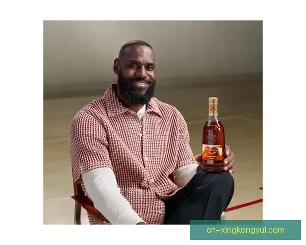 不胜扰詹姆斯怒怼舆论终止采访 不胜扰詹姆斯怒怼舆论终止采访